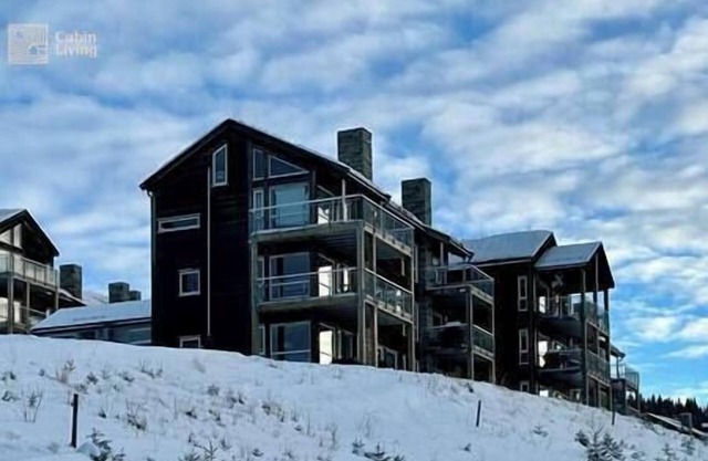 Ski in/out, bbq, mountain view & fireplace - Hafjell