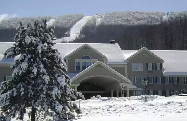 Ski In & Ski Out - Deluxe 1 Bedroom Condo Sleeps 5