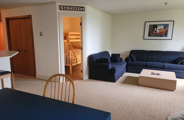 Ski on ski off condo