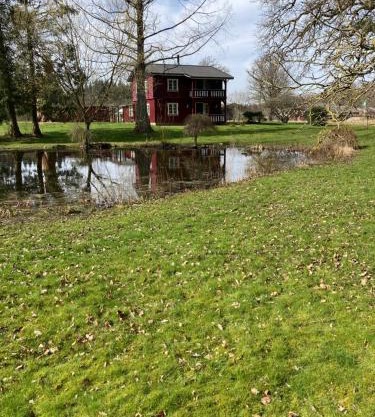 Skovhuset haveværelset
