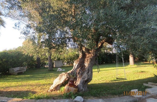 Small house in the countryside, the small "Cornula", Salento