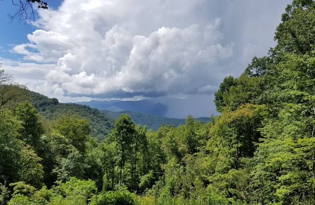 Smoky Mountain Depot ~ Great Secluded Cabin in a Gated Community