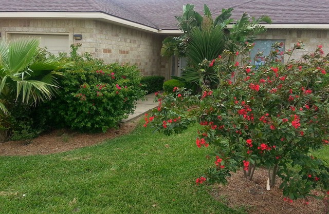South Padre retreated on the pond
