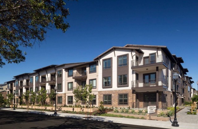 Spacious 2BR at Anton 1101 – Pool, Gym & Fire Pit!