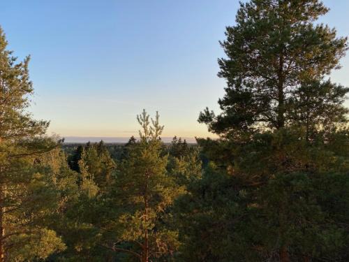 Spacious 68m2 apartment with fabulous forest view and aircon