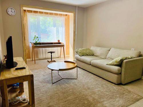 Spacious and Cozy 3BR Apartment, UB Downtown