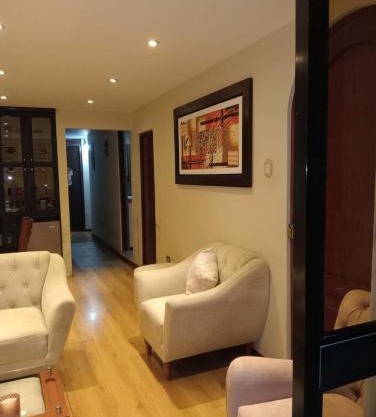 Spacious Apartment - Los Olivos