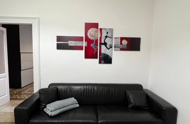 Spacious apartment within walking distance of the city center.