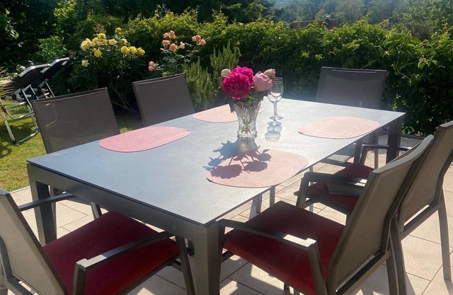 Spacious, bright apartment with a view of the vineyards and the Rhine plain