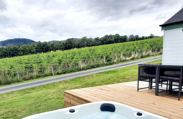 Spacious Lodge with woodburner, hot tub and beautiful views from the patio deck.
