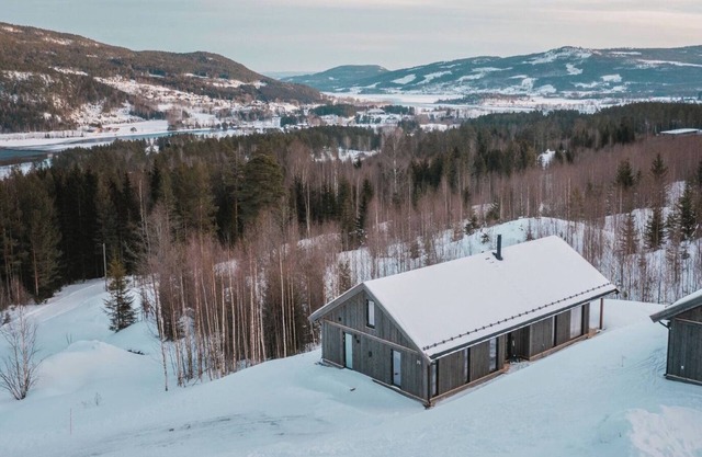 Spacious lodge with sauna, ski centre