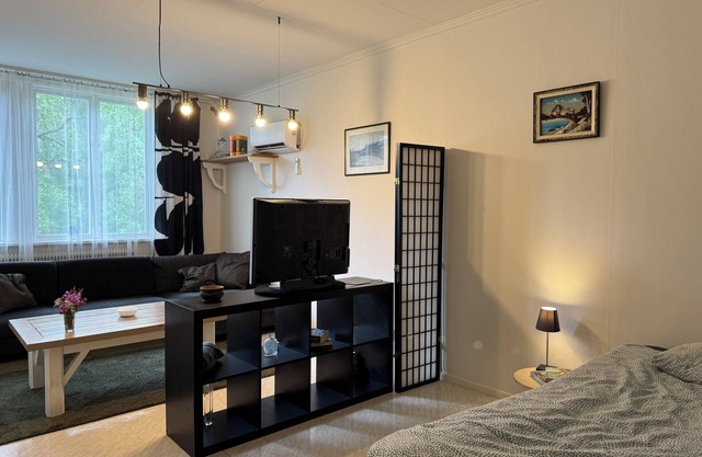 Spacious studio in Hedsjö
