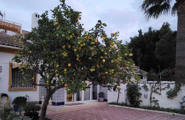 Spanish villa for 2 to 7 people 400m from the beach!