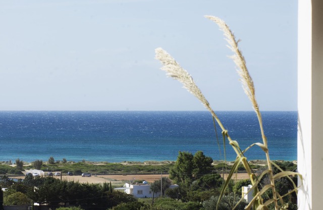 Splendid villa set in the Mediterranean scrub a stone's throw from the Ionian sea