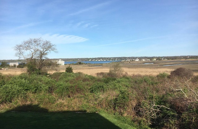 SPRING INTO SAVINGS Large Tranquil, Private Suite By The Sea, Birders Paradise