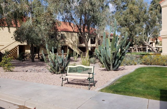 Spring Training, Tennis, Golf, or Relaxation, this is your happy place.