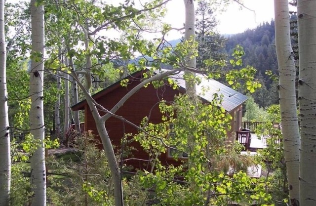 Spruce Ridge Cabin Close to Monarch and Salida on Little Cochetopa Creek