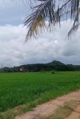 Sri Nawa Homestay