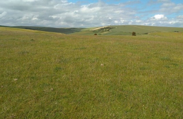 Stag Cottage Rottingdean South Downs Great Walks