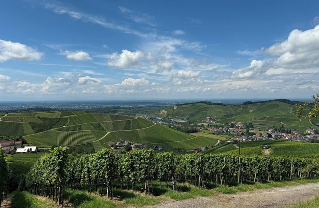 Staufenbergblick Durbach