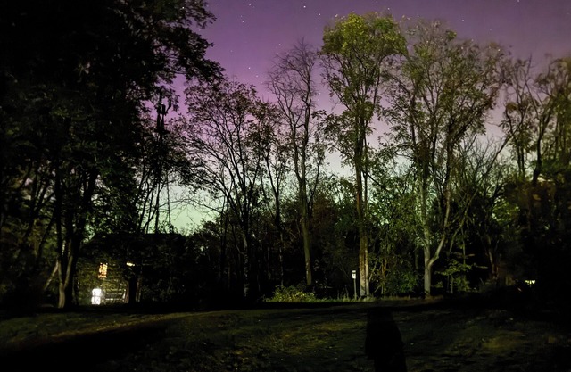 Stay in a Modernized 1800's Historic Log Cabin for Little League World Series!