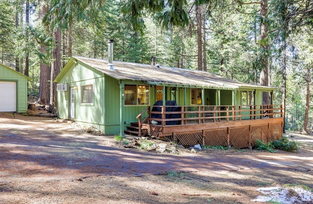 Stay Near Big Trees, Bring Your Pets: Arnold Cabin