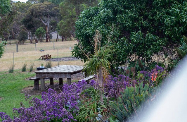 Step back into nature at Bonnie Brae Cottage