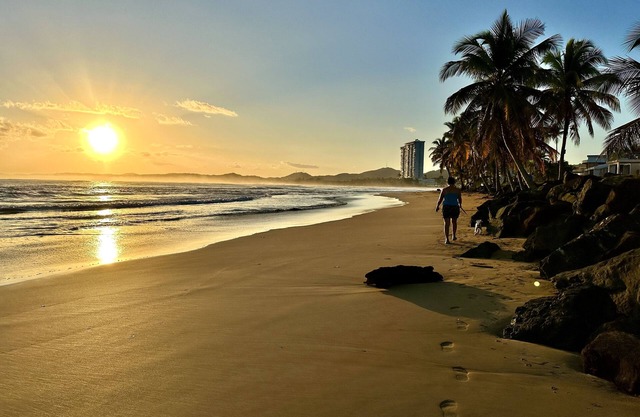 The Beach 