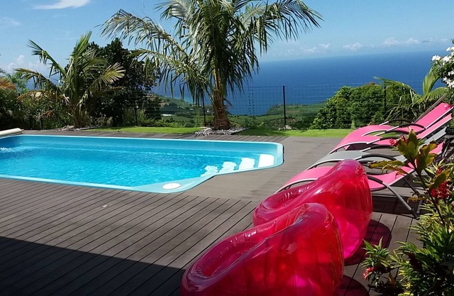 STOP PROMO:L'AMANDAVA 3*,6 pers, magnificent ocean view, private heated pool.