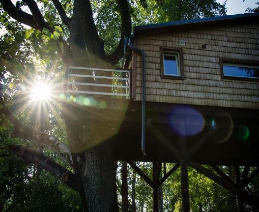 Strazdu Ligzda Off grid treehouse