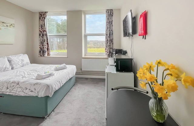Studio Apartment 17 - UK48714