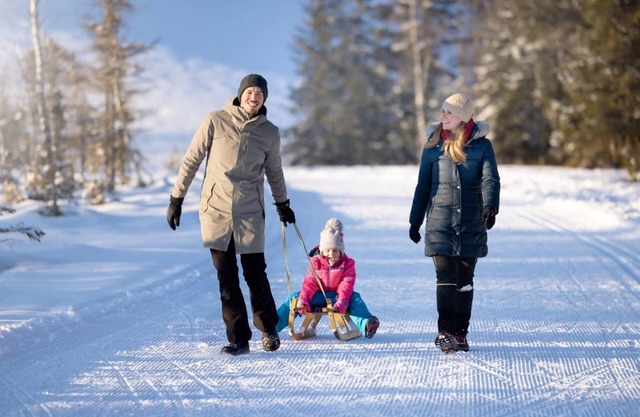 Studio near the slopes with wellness area