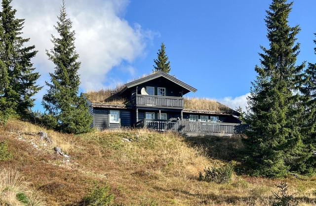 Stunning home in Sjusjøen with sauna
