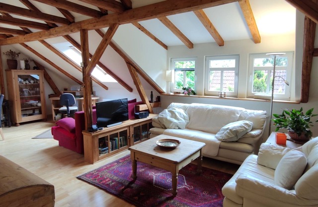 Stylishly furnished apartment in Rathmannsdorf in the Zauketal, allergy sufferers