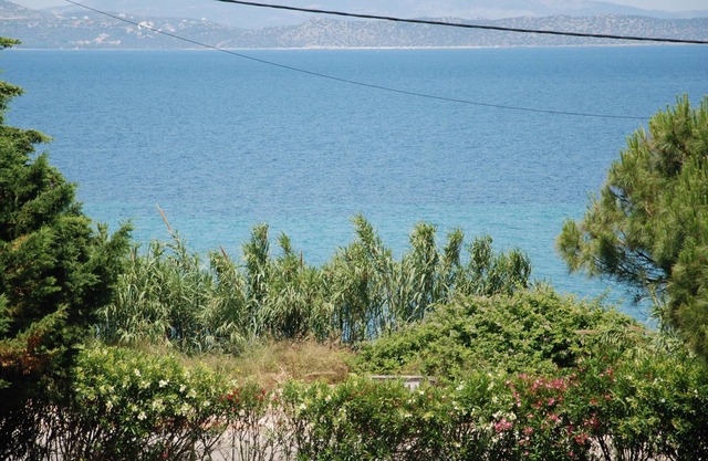 SUMMER HOUSE 100m from a nice beach !