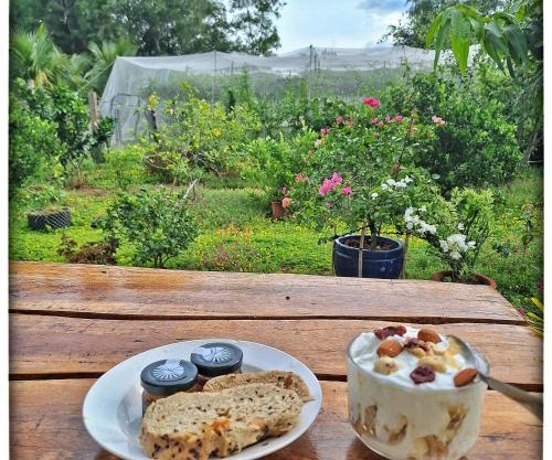 Summer Stations Homestay Binh Chau - Ho Coc Beach - Vung Tau