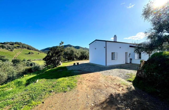 " Sunny Hill "
