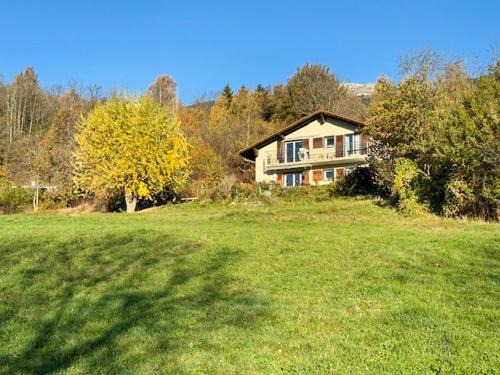 Sunny Lily facing the swiss Alps - Crans Montana