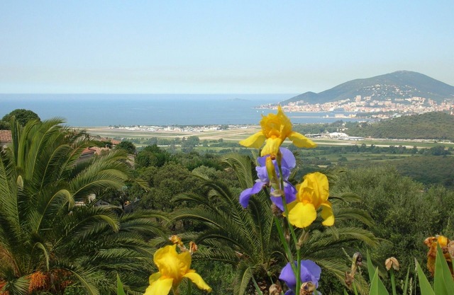 Superb studio, view of the sea, garden, ground floor of villa in the countryside