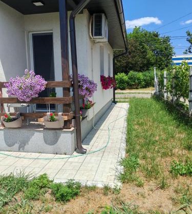 Sveti Luka- OBRADOVIĆ SOKAK 41