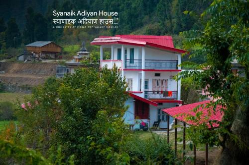 Syanaik Adiyan House