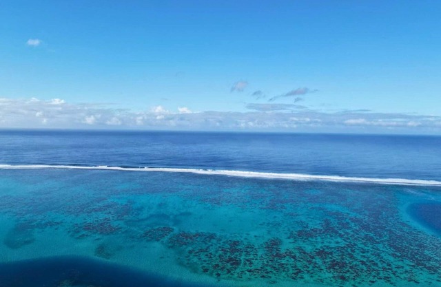 Tahiti Tiamao Manini 