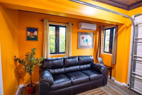 Tangerine Sunsets Mango