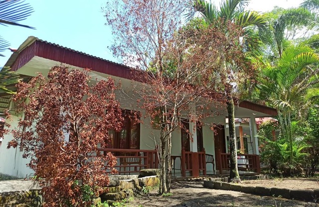 Tangkoko Jungle Homestay