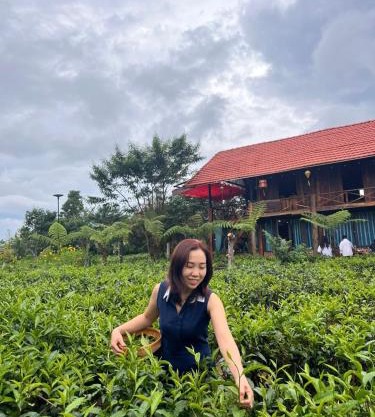 Tea Garden House