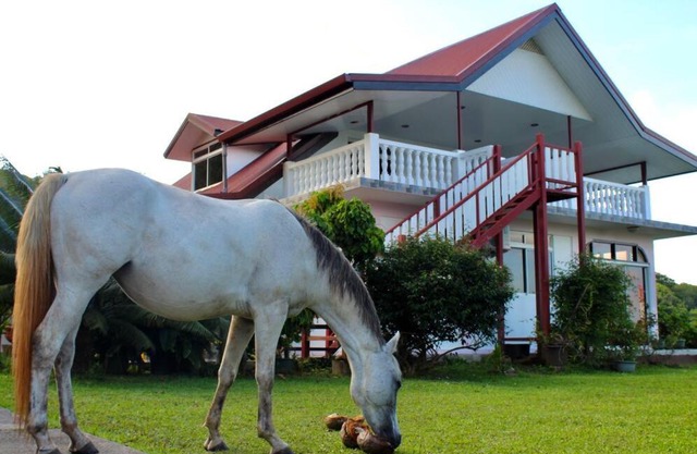Tekauhivai Lodge