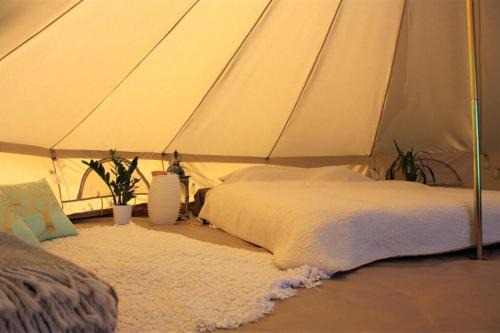 Tempus Te Glamping Lääne - Virumaal