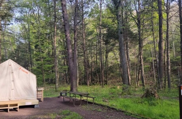 Tentrr State Park Site - Big Run State Park - Site D