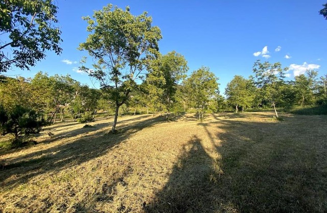 Terra del Sasso Country-house