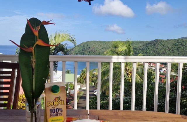 Terrace apartment sea view
